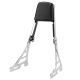 Tombstone Backrest Sissy Bar Leather Pad for Harley Davidson Sportster (1996+)